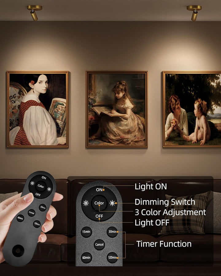 LightsCordless™ RGB Rechargeable Picture Light