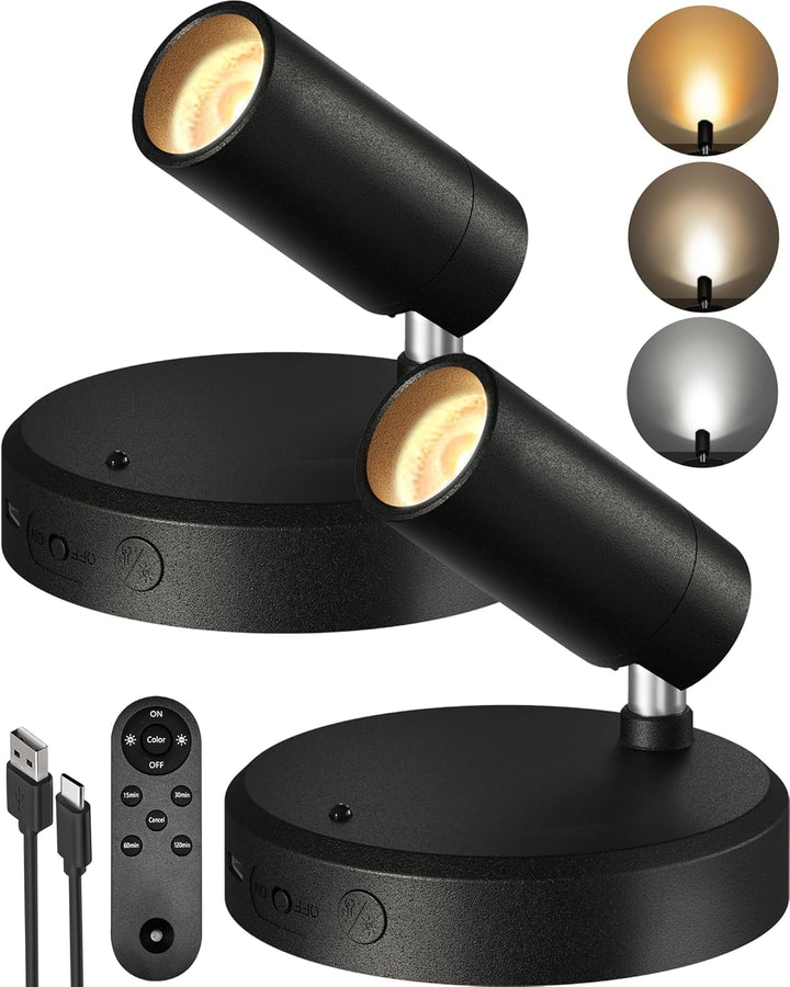 LightsCordless™ RGB Rechargeable Picture Light